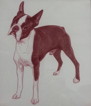 Boston Terrier One by Leonardo Villaseñor