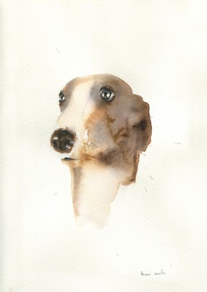 Greyhound Study 1 by Kareena Zerefos