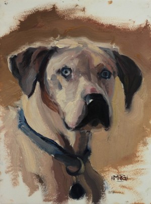 Jasper The Catahoula by Marcus Gannuscio