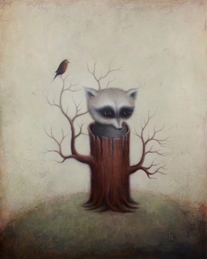 Raccoon By Paul Barnes