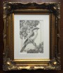 Loggerhead Shrike And Hawthorn 1 by Vanessa Foley with Frame