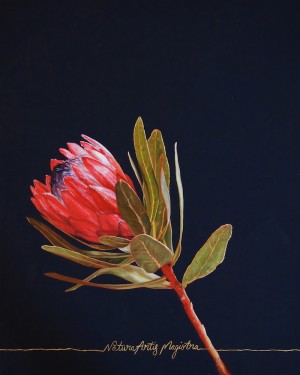 Nature Is The Teacher Of Art Protea by Chelsea Gustafsson