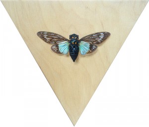 Cicada 3: Tosena by Alex Louisa