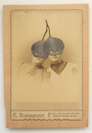 Eucalyptus Sisters by Poul Lange