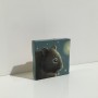 Squirrel by Lena Sayadian for Small Box