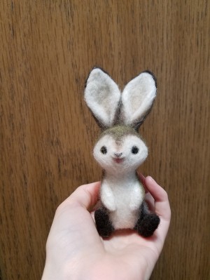 Habbit the Rabbit by Heather Gross