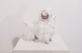 Guardian Muttenhorn "Foster" by Yetis & Friends Side 3