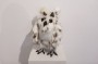 Snowy Birb "Albus" by Yetis & Friends Side 2