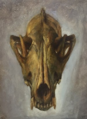 Skull (Coyote) by Valerie Pobjoy