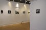 FP The Language of Nature Installation View 003