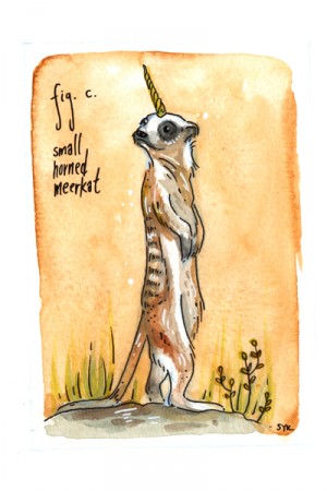 Small Horned Meerkat by Shing Yin Khor