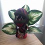 Sweaty Audrey II by Sweaty Taxidermy 002