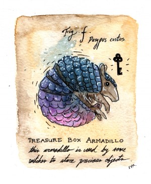 Treasure Box Armadillo by Shing Yin Khor