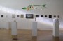 FP 6th Year Anniversary Show Installation View 003