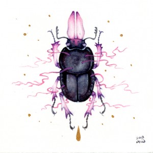 Cape Stag Beetle by Nana Williams