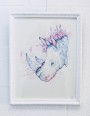 Ceratotherium Simum Cottoni by Nana Williams with Frame
