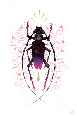 Great Capricorn Beetle by Nana Williams