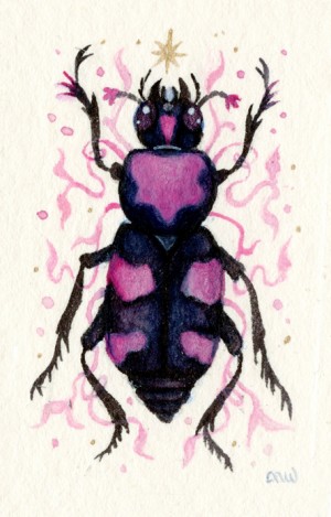 American Burying Beetle by Nana Williams