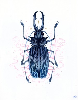 Long-Horned Beetle by Nana Williams