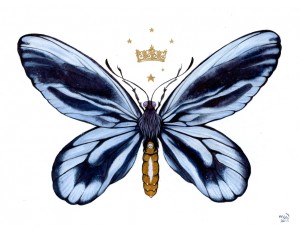 Queen Alexandra's Birdwing by Nana Williams